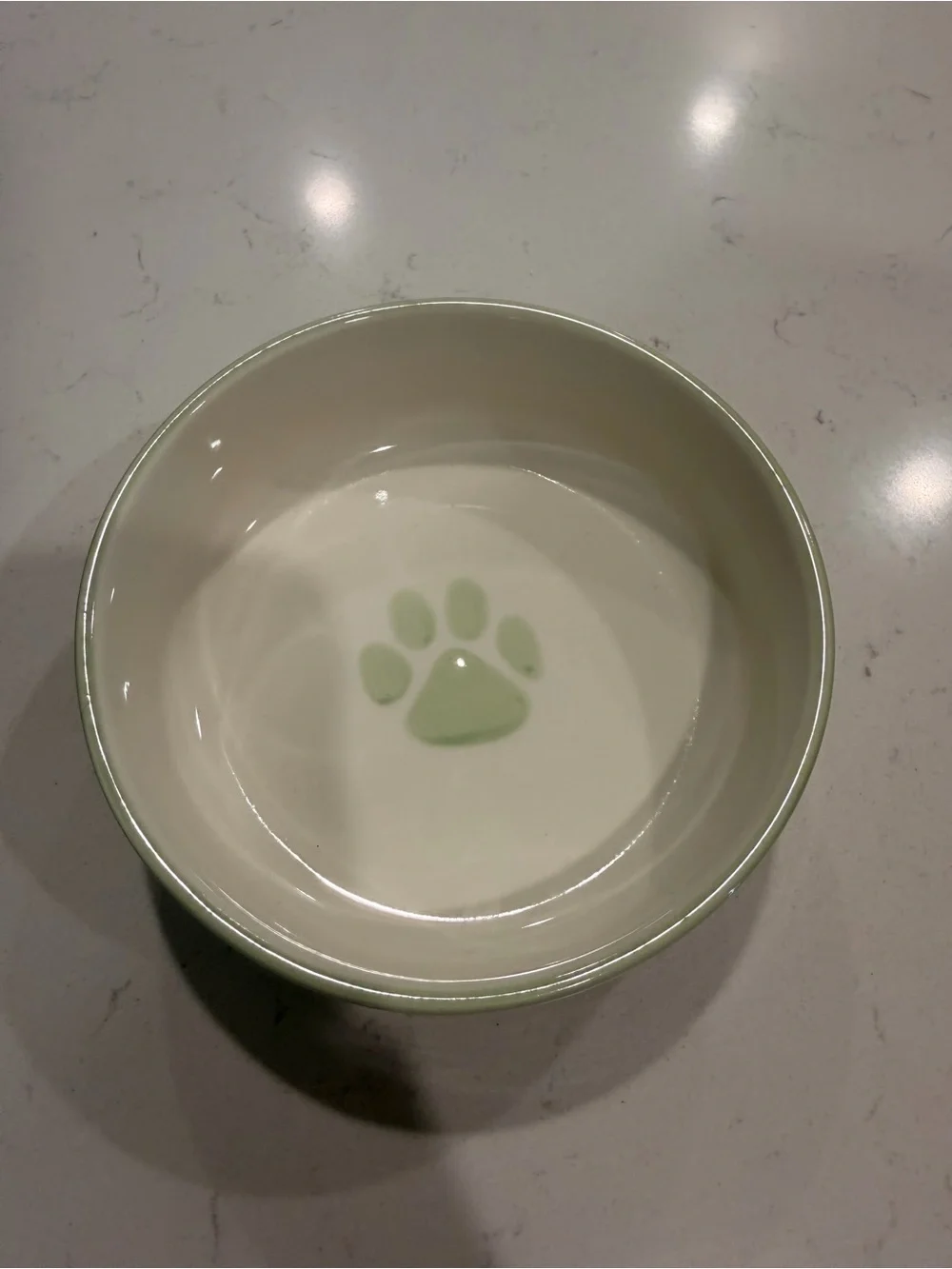 Ceramic Dog Bowl with Mint Paw Accent - Mint/White